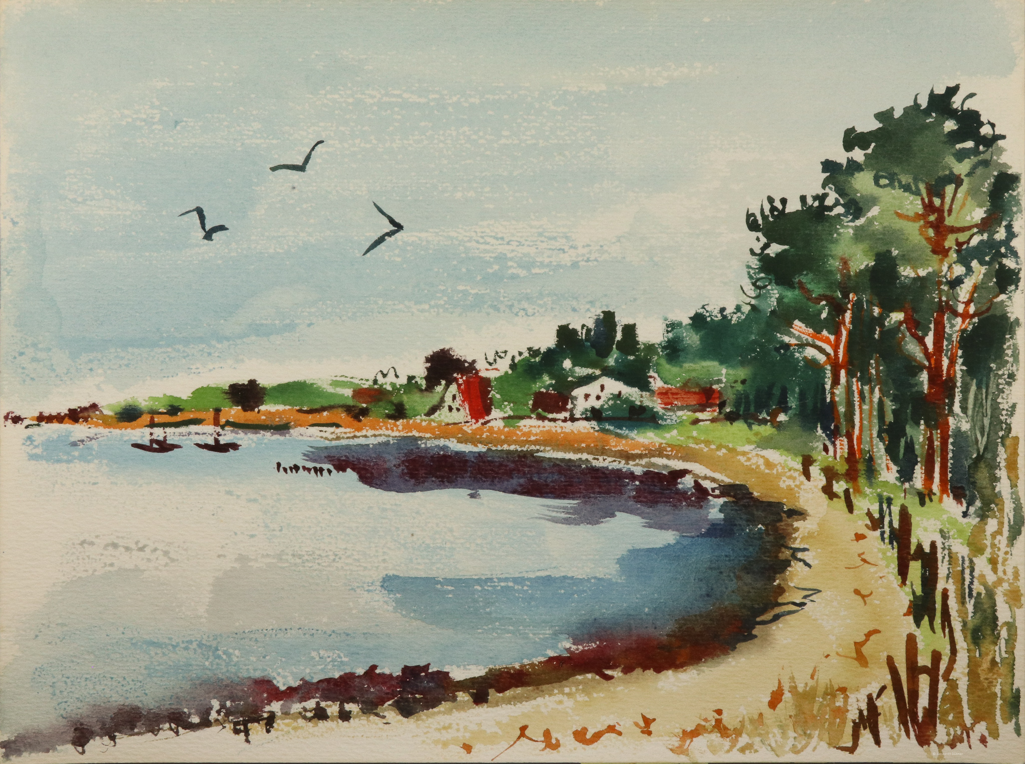 Strand mit Kiefern